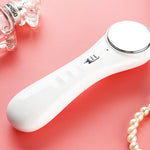 EMS Mesotherapy Electroporation Skin Care Tighten Lifting Facial