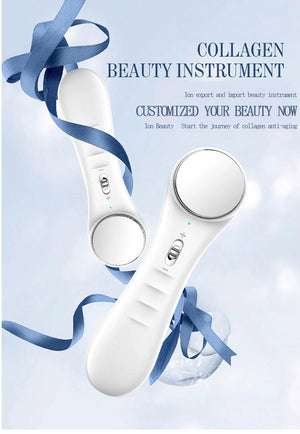 EMS Mesotherapy Electroporation Skin Care Tighten Lifting Facial