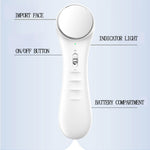 EMS Mesotherapy Electroporation Skin Care Tighten Lifting Facial