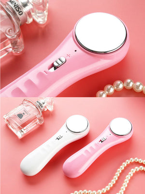 EMS Mesotherapy Electroporation Skin Care Tighten Lifting Facial